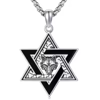 TOUPOP Sterling Silver & Cubic Zirconia Star Of David Necklace With Cross-style_name:wolf star of david