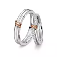 TOUPOP 14k Gold Moissanite Wedding Ring Sets For Him And Her-style_name:D Wedding Ring Set