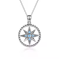 TOUPOP Sterling Silver Necklace Letter Turtle Compass Anchor Mom Pineapple Butterfly Shark Tooth Lotus Jewelry Gift-color_name:Compass Necklace