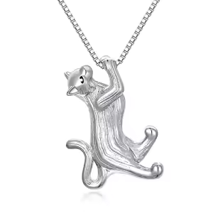 A - Silver Cat