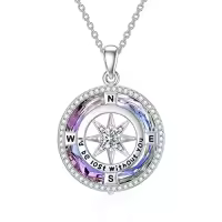 TOUPOP Sterling Silver Crystal Birthstone Compass I'd Be Lost Without You Pendant Necklace-color_name:B-Purple Circle Crystal-04-Apr-White Zircon