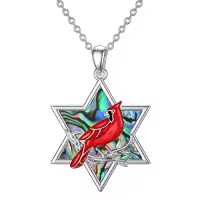 TOUPOP Sterling Silver Red Cardinal Pendant Necklace Memorial Jewelry-style_name:5-Star of David Cardinal