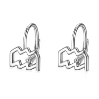 TOUPOP Sterling Silver Stone Zodiac Constellation Leverback Dangle Earrings-style_name:(1/20-2/18) Aquarius Earrings
