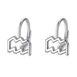 (1/20-2/18) Aquarius Earrings