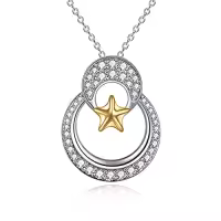 TOUPOP Sterling Silver & Stone Pendant Necklace For Women-style_name:Moon Star Necklace