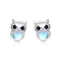 wholesale 925 Sterling Silver Owl Stud Earrings with Blue Moonstone and Black Cubic Zirconia Eyes-0-0