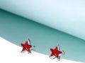 wholesale 925 Sterling Silver Red Gemstone Five-Pointed Star Stud Earrings for Women-0-4