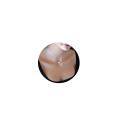 wholesale 925 Sterling Silver 14k Gold Plated Pearl Necklace Wholesale Elegant Simple Design-0-10