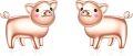 wholesale 925 Sterling Silver Rose Gold Plated Pig Stud Earrings for Women and Girls-0-0