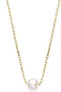 wholesale 14K Gold Chain with Freshwater Pearl Pendant (8mm) - Elegant Minimalist Design-0-20