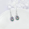 wholesale 925 Sterling Silver Abalone Shell Dolphins Drop Earrings for Women's Gifts-0-2