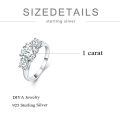 TOUPOP Sterling Silver Moissanite 3 Stone D Color VVS1 Engagement Ring Size 6-9-0-3