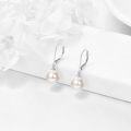 wholesale 14K Gold Black Freshwater Pearl Dangle Leverback Earrings for Women Bridesmaid Gift-0-13
