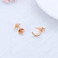 wholesale 14K Rose Gold  Crystal Moon & Star Stud Earrings for Women-0-4