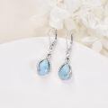 wholesale 925 Sterling Silver Larimar Teardrop Drop Earrings White Gold Plated Cubic Zirconia Accent-0-4