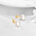 wholesale 14K Gold Freshwater Pearl Stud Earrings for Women - Elegant Idea-0-3