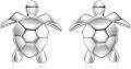 wholesale 925 Sterling Silver Sea Turtle Stud Earrings for Women Girls Gift Idea-0-0