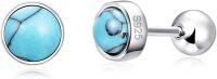 wholesale 925 Sterling Silver Natural Turquoise 6mm Round Screwback Stud Earrings for Women-5mm-1