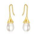 wholesale 14K Gold Freshwater Pearl Teardrop Hook Earrings for Women Anniversary Gift-0-0