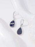 wholesale 925 Sterling Silver Dragonfly Blue Stone Drop Dangle Leverback Earrings-0-3