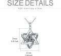 wholesale 925 Sterling Silver Star of David with Serpent Pendant Gothic Necklace Jewelry for Women and Men-0-4