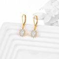 wholesale 14K Gold Flower Shape CZ Dangle Drop Earrings for Women Birthday Gifts-0-1