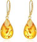 wholesale 925 Sterling Silver Teardrop Amber Feather Drop Earrings-0-0