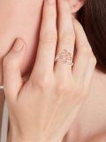 wholesale 925 Sterling Silver Rose Branch Ring With Zircon Accents-0-3