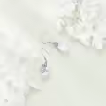 wholesale 925 Sterling Silver Dragonfly Keshi Pearl Teardrop Dangle Earrings Wholesale for Women's  Ideas-0-3