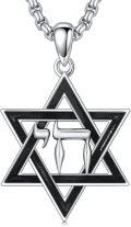 wholesale 925 Sterling Silver Star of David Lion of Judah Celtic Knot Chai Pendant Necklace-0-0