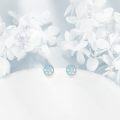 wholesale 925 Sterling Silver Blue Opal Snowflake Stud Earrings for Women-0-4