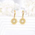 wholesale 14k Gold Round Hollow Out Flower Shape Crystal Leverback Earrings for Women Girls-0-4