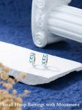 wholesale 925 Sterling Silver Moonstone Cat Claw Huggie Hoop Earrings for Women -0-2