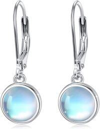 wholesale 925 Sterling Silver Round Moonstone Drop Earrings with Feather Design Leverbacks for Women-Round