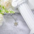wholesale 925 Sterling Silver Cubic Zirconia Star of David Pendant Necklace with Gold Plated Hebrew Letter for Women-0-2