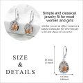wholesale Sterling Silver Moonstone Leverback Teardrop Dangle Earrings for Women-0-88