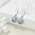 wholesale 925 Sterling Silver Labradorite Teardrop Earrings for Women-0-1