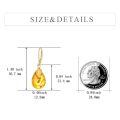 wholesale 925 Sterling Silver Teardrop Amber Feather Drop Earrings-0-4