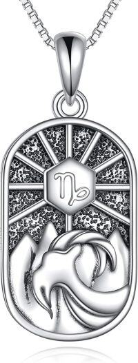 wholesale 925 Sterling Silver Capricorn Zodiac Pendant Necklace for Women-Capricorn (12.21-1.20)