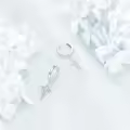 wholesale 925 Sterling Silver Star Shape Dangle Drop Hoop Earrings  for Women-0-3