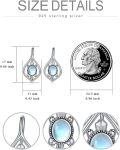 wholesale 925 Sterling Silver Moonstone Teardrop Drop Earrings for Women-0-1