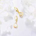 wholesale 14K Gold Moonstone Teardrop Leverback Earring for Women's Fashion s-0-3