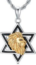 wholesale 925 Sterling Silver Lion Head in Star of David Pendant Necklace  for Men & Women-0-0
