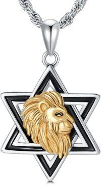 wholesale 925 Sterling Silver Lion Head in Star of David Pendant Necklace  for Men & Women-B01-Star of David & Lion