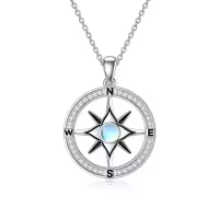 TOUPOP Sterling Silver Moonstone Compass Pendant Necklace for Women-undefined