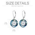 wholesale 925 Sterling Silver Compass Crystal Drop Earrings-0-8