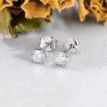 wholesale 925 Sterling Silver & Moissanite Stud Earrings - Round Cut 0.2-1 Carat Cubic Zirconia Alternative Jewelry for Women Girls Gift Boxed-0-3