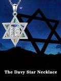 wholesale 925 Sterling Silver Abalone Shell Star of David Pendant Necklace for Women-0-1