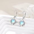 wholesale 925 Sterling Silver Earrings Wholesale With Blue Gemstone Drop-0-13
