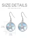 TOUPOP Sterling Silver Moonstone Dangle Drop Earrings-0-4